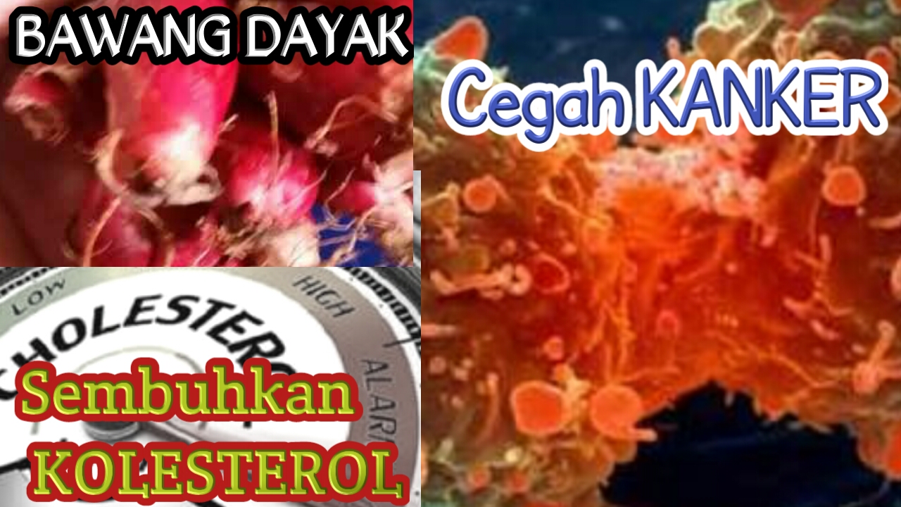 Koordinasi Kelembagaan di Polsek Sungai Duri Bengkayang Koordinasi Kelembagaan di Polsek Sungai Duri Bengkayang